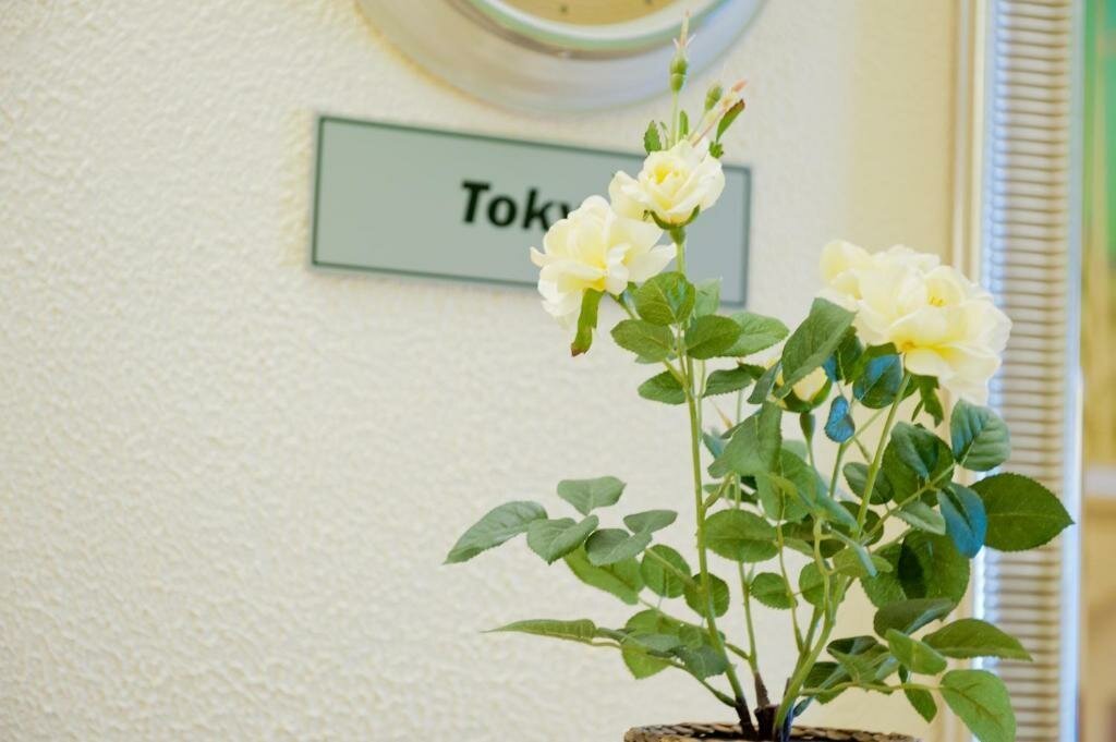 Гостиница Уютная Колпино-15